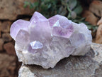 Natural Jacaranda Amethyst Quartz Cluster x 3 From Mumbwa, Zambia - Toprock Gemstones and Minerals 