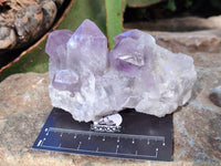 Natural Jacaranda Amethyst Quartz Cluster x 3 From Mumbwa, Zambia