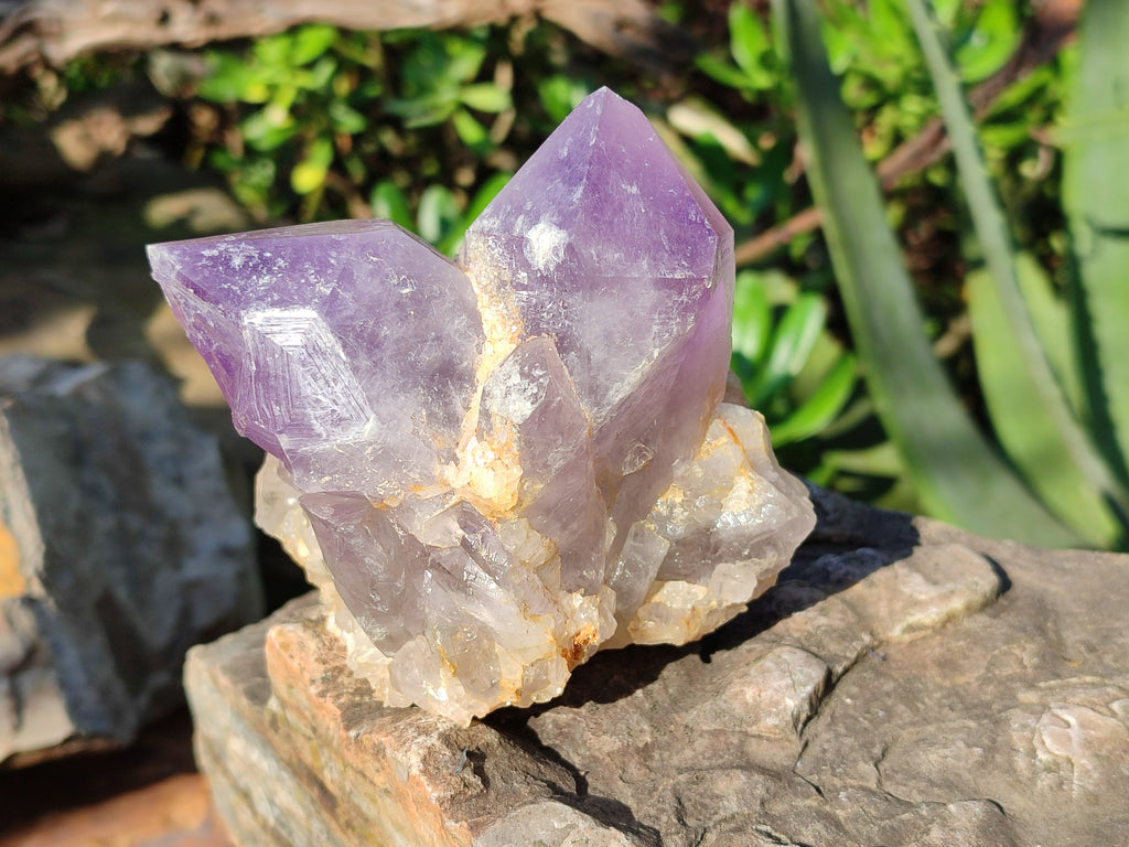Natural Jacaranda Amethyst Quartz Cluster x 3 From Mumbwa, Zambia - Toprock Gemstones and Minerals 