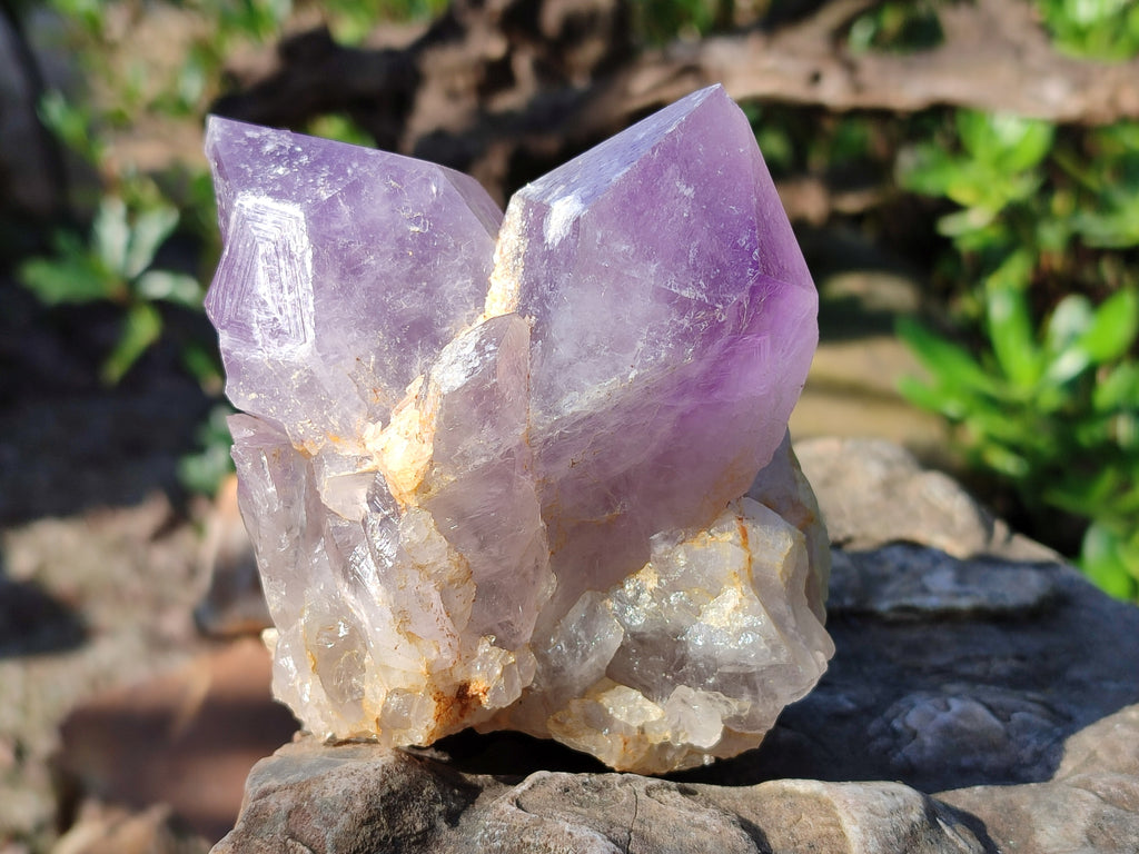Natural Jacaranda Amethyst Quartz Cluster x 3 From Mumbwa, Zambia - Toprock Gemstones and Minerals 