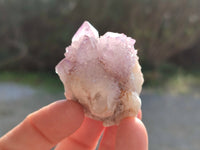 Natural Lilac Amethyst Spirit Quartz Clusters x 12 From South Africa - Toprock Gemstones and Minerals 