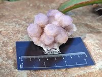 Natural Lilac Amethyst Spirit Quartz Clusters x 12 From South Africa - Toprock Gemstones and Minerals 