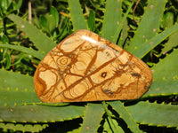 Polished Picture Stone Jasper Standing Free Forms x 3 From Ais-Ais, Namibia - Toprock Gemstones and Minerals 