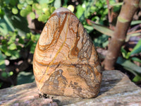 Polished Picture Stone Jasper Standing Free Forms x 3 From Ais-Ais, Namibia - Toprock Gemstones and Minerals 