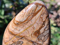 Polished Picture Stone Jasper Standing Free Forms x 3 From Ais-Ais, Namibia - Toprock Gemstones and Minerals 