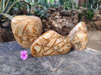 Polished Picture Stone Jasper Standing Free Forms x 3 From Ais-Ais, Namibia - Toprock Gemstones and Minerals 