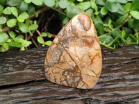 Polished Picture Stone Jasper Standing Free Forms x 3 From Ais-Ais, Namibia - Toprock Gemstones and Minerals 