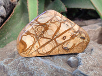 Polished Picture Stone Jasper Standing Free Forms x 3 From Ais-Ais, Namibia - Toprock Gemstones and Minerals 