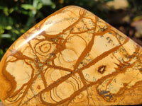 Polished Picture Stone Jasper Standing Free Forms x 3 From Ais-Ais, Namibia - Toprock Gemstones and Minerals 