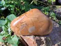 Polished Picture Stone Jasper Standing Free Forms x 3 From Ais-Ais, Namibia - Toprock Gemstones and Minerals 