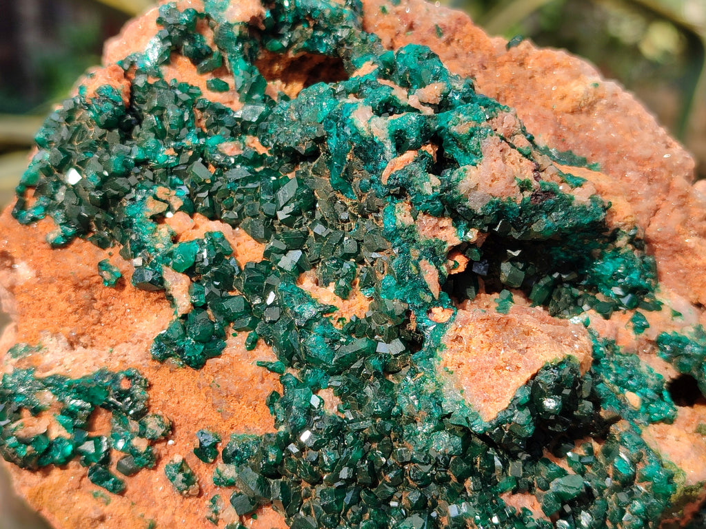Natural Large Dioptase On Dolomite Cabinet Specimen x 1 From Mashamba East Mine, Congo - Toprock Gemstones and Minerals 