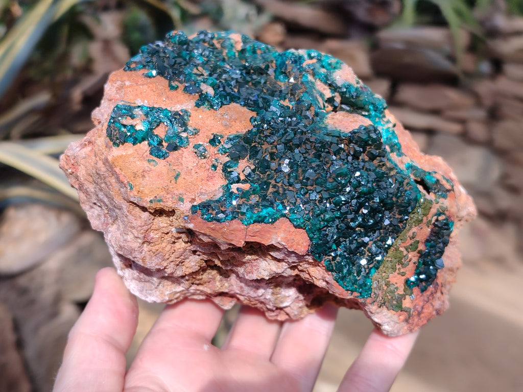 Natural Large Dioptase On Dolomite Cabinet Specimen x 1 From Mashamba East Mine, Congo - Toprock Gemstones and Minerals 