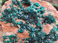 Natural Large Dioptase On Dolomite Cabinet Specimen x 1 From Mashamba East Mine, Congo - Toprock Gemstones and Minerals 