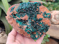 Natural Large Dioptase On Dolomite Cabinet Specimen x 1 From Mashamba East Mine, Congo - Toprock Gemstones and Minerals 