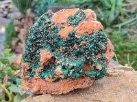 Natural Large Dioptase On Dolomite Cabinet Specimen x 1 From Mashamba East Mine, Congo - Toprock Gemstones and Minerals 