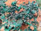 Natural Large Dioptase On Dolomite Cabinet Specimen x 1 From Mashamba East Mine, Congo - Toprock Gemstones and Minerals 