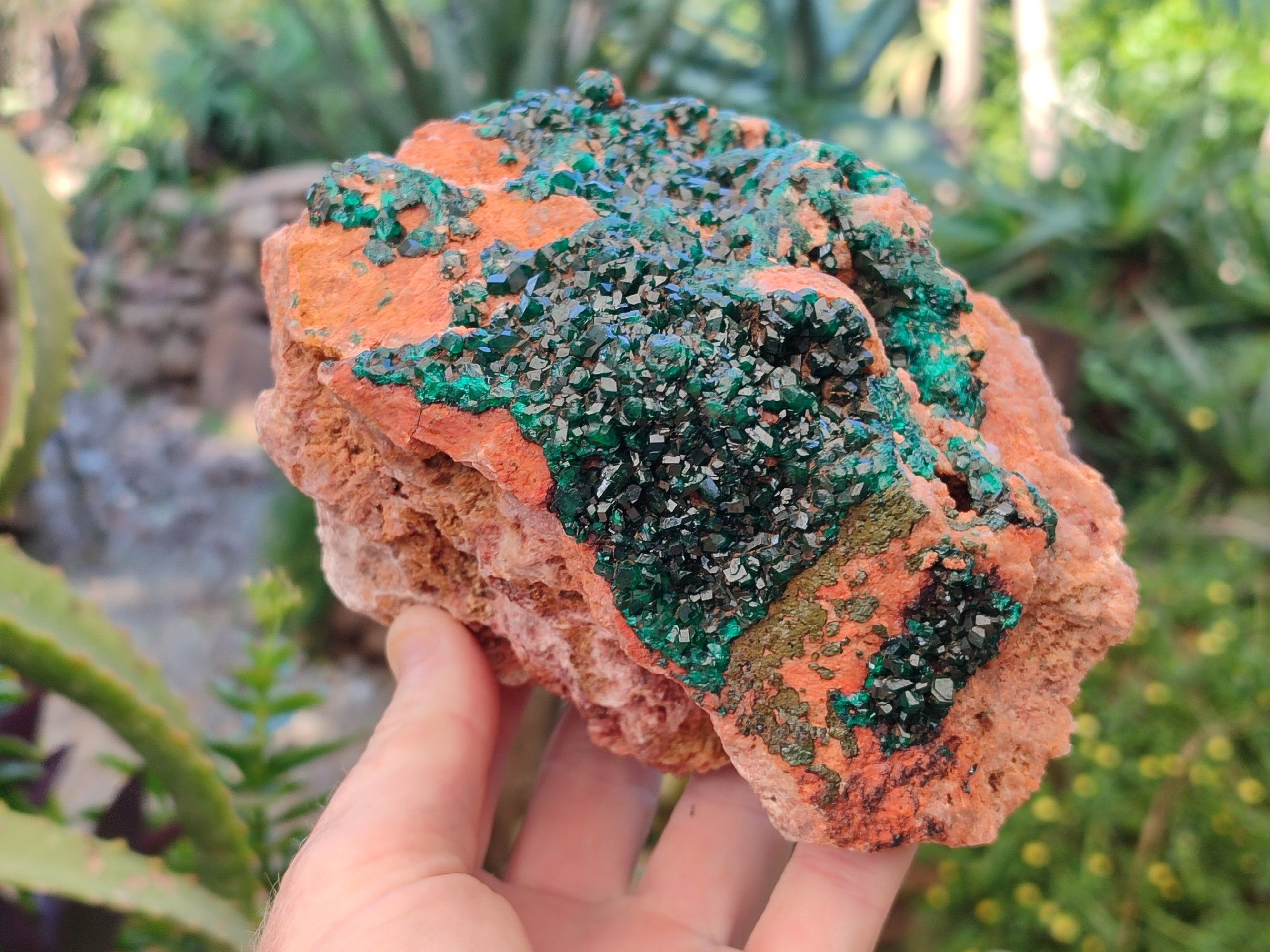 Natural Large Dioptase On Dolomite Cabinet Specimen x 1 From Mashamba East Mine, Congo - Toprock Gemstones and Minerals 