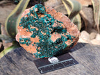 Natural Large Dioptase On Dolomite Cabinet Specimen x 1 From Mashamba East Mine, Congo - Toprock Gemstones and Minerals 
