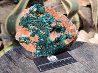 Natural Large Dioptase On Dolomite Cabinet Specimen x 1 From Mashamba East Mine, Congo - Toprock Gemstones and Minerals 