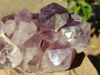 Natural Jacaranda Amethyst Quartz Cluster x 2 From Mumbwa, Zambia - Toprock Gemstones and Minerals 