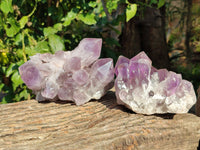 Natural Jacaranda Amethyst Quartz Cluster x 2 From Mumbwa, Zambia - Toprock Gemstones and Minerals 