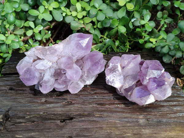 Natural Jacaranda Amethyst Quartz Cluster x 2 From Mumbwa, Zambia