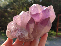 Natural Jacaranda Amethyst Quartz Cluster x 2 From Mumbwa, Zambia - Toprock Gemstones and Minerals 