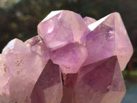 Natural Jacaranda Amethyst Quartz Cluster x 2 From Mumbwa, Zambia - Toprock Gemstones and Minerals 