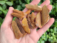 Natural Golden Limonite Fairy Spirit Quartz Single Crystals x 70 From South Africa