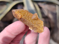 Natural Golden Limonite Fairy Spirit Quartz Single Crystals x 70 From South Africa