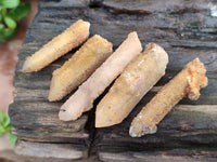 Natural Golden Limonite Fairy Spirit Quartz Single Crystals x 70 From South Africa