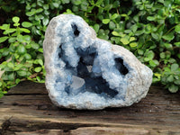Natural Large Celestite Geode Specimen x 1 From Sakoany, Madagascar - Toprock Gemstones and Minerals 