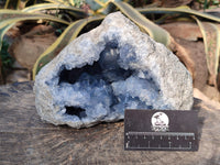 Natural Large Celestite Geode Specimen x 1 From Sakoany, Madagascar - Toprock Gemstones and Minerals 