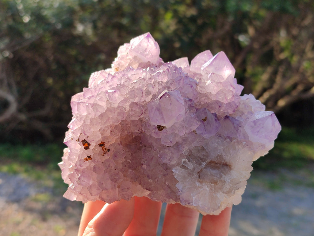 Natural Sunburst Amethyst Spirit Quartz Clusters x 5 From South Africa - Toprock Gemstones and Minerals 