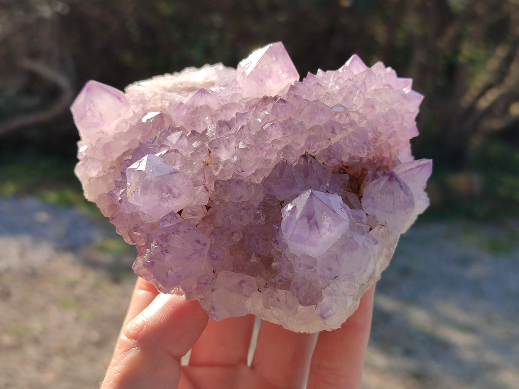 Natural Sunburst Amethyst Spirit Quartz Clusters x 5 From South Africa - Toprock Gemstones and Minerals 