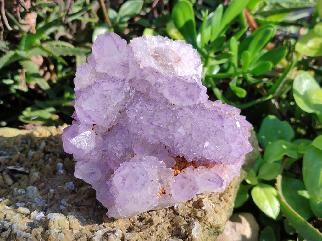 Natural Sunburst Amethyst Spirit Quartz Clusters x 5 From South Africa - Toprock Gemstones and Minerals 