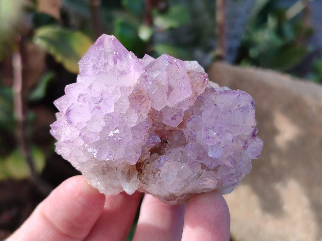 Natural Sunburst Amethyst Spirit Quartz Clusters x 5 From South Africa - Toprock Gemstones and Minerals 