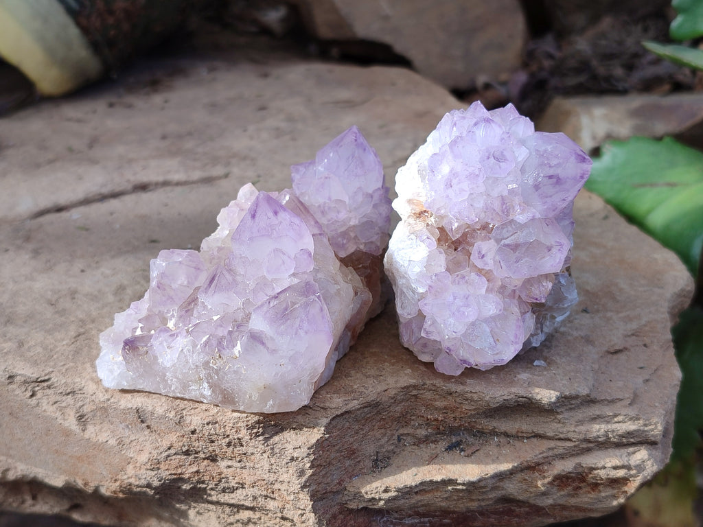 Natural Sunburst Amethyst Spirit Quartz Clusters x 5 From South Africa - Toprock Gemstones and Minerals 