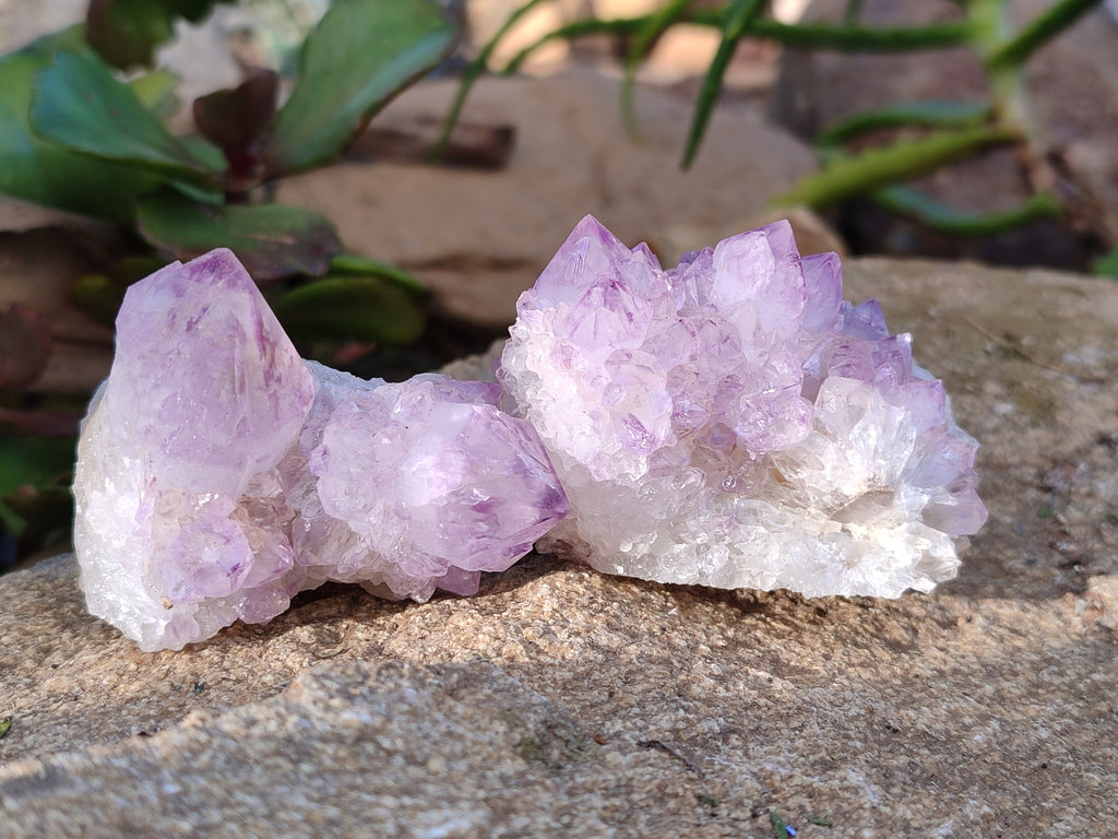 Natural Sunburst Amethyst Spirit Quartz Clusters x 5 From South Africa - Toprock Gemstones and Minerals 