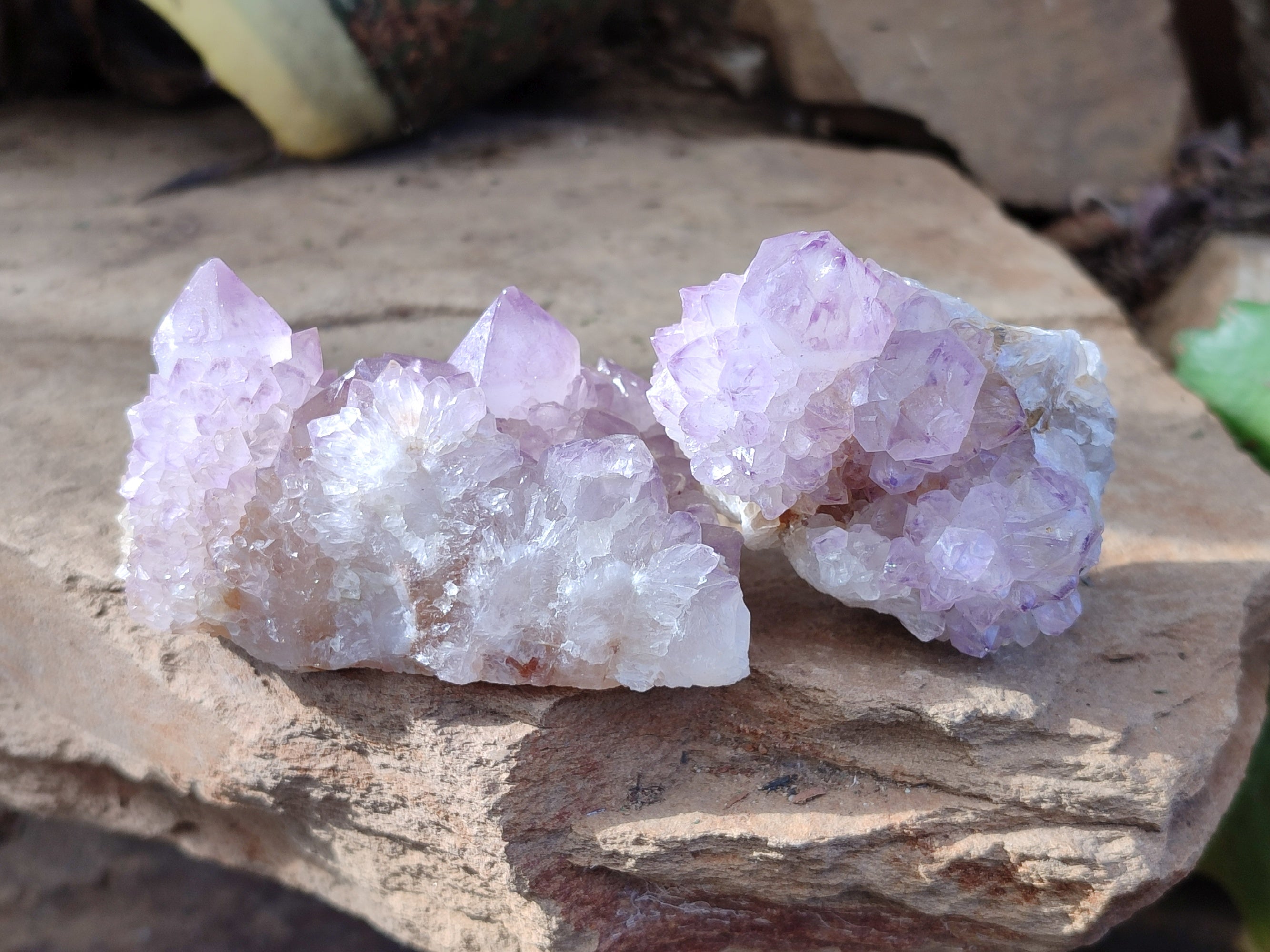 Natural Sunburst Amethyst Spirit Quartz Clusters x 5 From South Africa - Toprock Gemstones and Minerals 