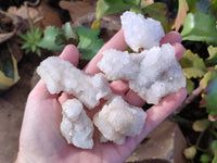 Natural Drusy Quartz and Drusy Quartz Coated Calcite Pseudomorph Crystals x 20 From Lesotho - Toprock Gemstones and Minerals 
