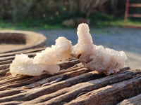 Natural Drusy Quartz and Drusy Quartz Coated Calcite Pseudomorph Crystals x 20 From Lesotho - Toprock Gemstones and Minerals 