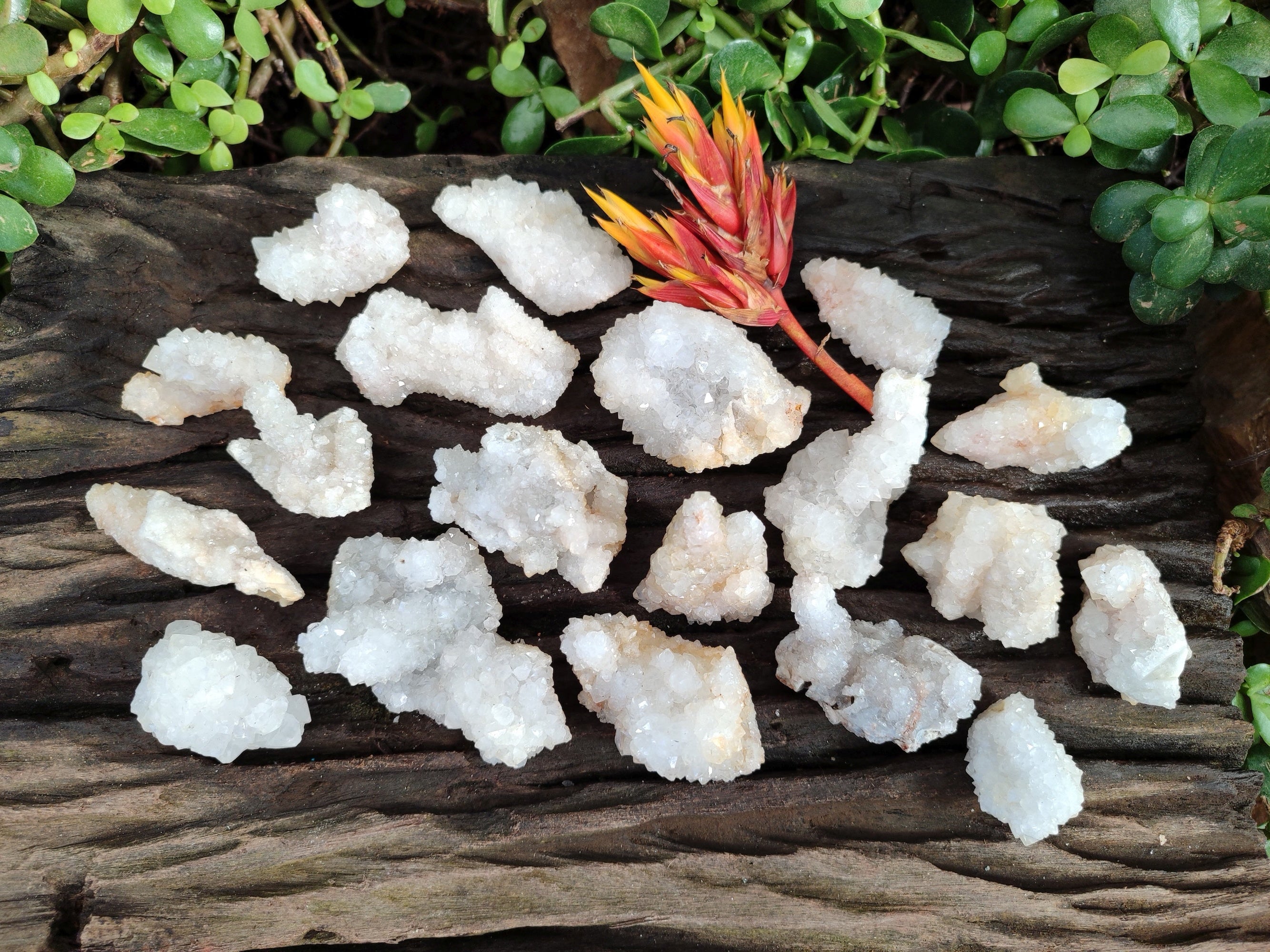 Natural Drusy Quartz and Drusy Quartz Coated Calcite Pseudomorph Crystals x 20 From Lesotho - Toprock Gemstones and Minerals 