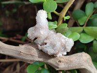 Natural Drusy Quartz and Drusy Quartz Coated Calcite Pseudomorph Crystals x 20 From Lesotho - Toprock Gemstones and Minerals 