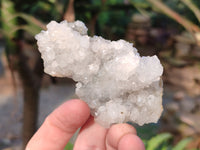 Natural Drusy Quartz and Drusy Quartz Coated Calcite Pseudomorph Crystals x 20 From Lesotho - Toprock Gemstones and Minerals 