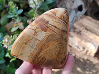 Polished Picture Stone Jasper Standing Free Forms x 3 From Ais-Ais, Namibia