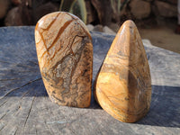 Polished Picture Stone Jasper Standing Free Forms x 3 From Ais-Ais, Namibia
