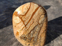 Polished Picture Stone Jasper Standing Free Forms x 3 From Ais-Ais, Namibia
