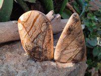 Polished Picture Stone Jasper Standing Free Forms x 3 From Ais-Ais, Namibia