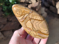 Polished Picture Stone Jasper Standing Free Forms x 3 From Ais-Ais, Namibia